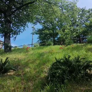 Bed & Breakfast Clara's Garden Ponte della Venturina