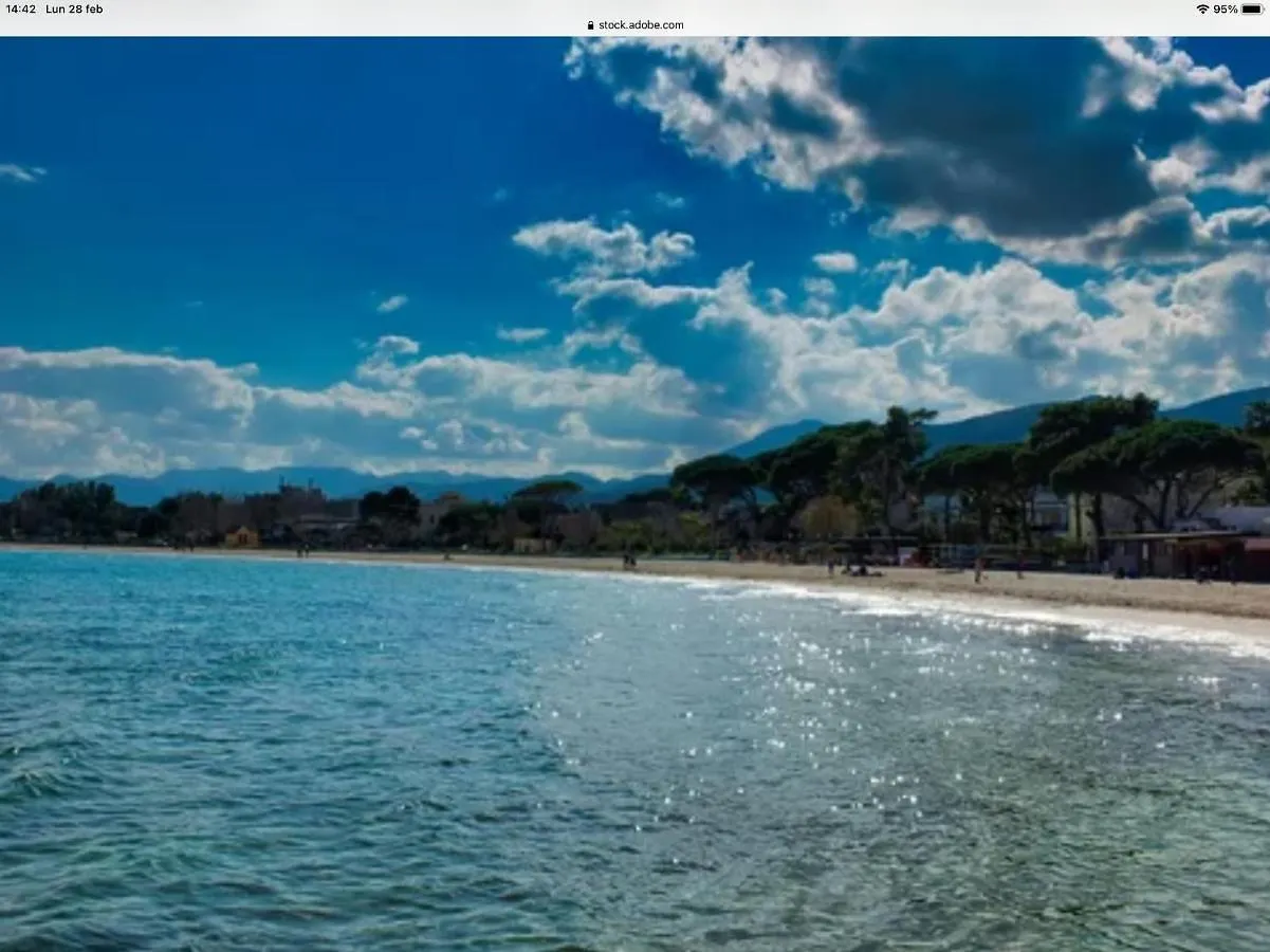 Ashur Mondello Palermo